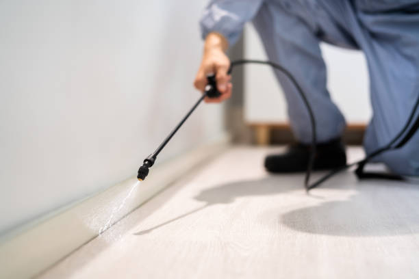 Licensed Cockroach Control service in Monroe County County, IL - Nex Pest Control
