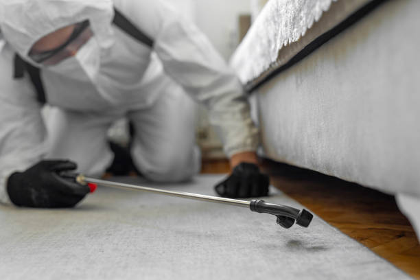Professional Cockroach Control technician working in Monroe County County, IL